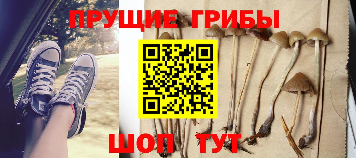 Ногинск  Галлюциногенные грибы мухоморы  Вход с VPN 